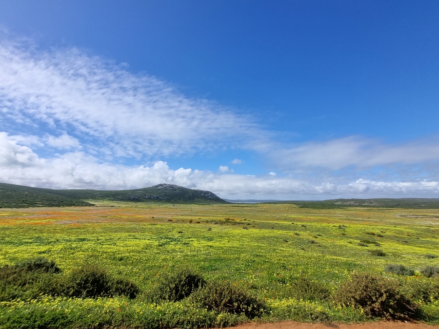 0 Bedroom Property for Sale in Calypso Beach Western Cape